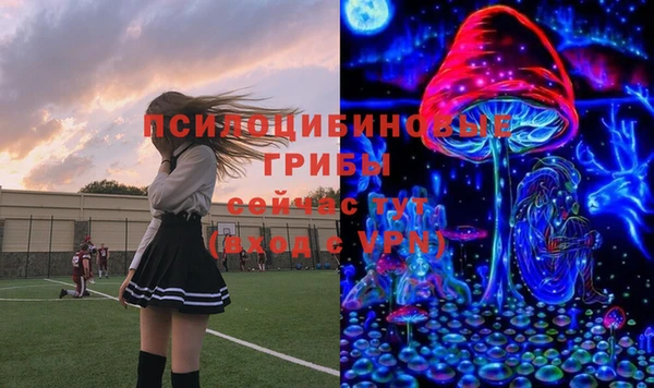 mdpv Алексин