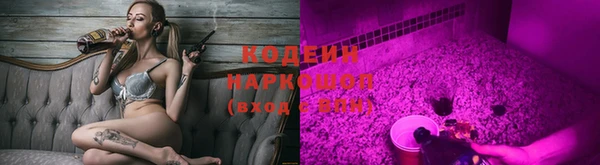 ГАЛЛЮЦИНОГЕННЫЕ ГРИБЫ Алексеевка