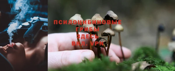 амф Алзамай