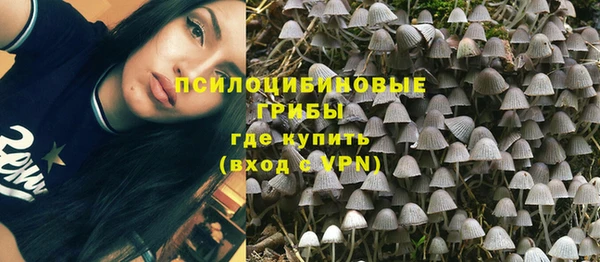 ГАЛЛЮЦИНОГЕННЫЕ ГРИБЫ Алексеевка