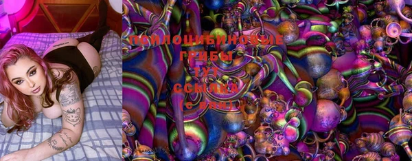 ГАЛЛЮЦИНОГЕННЫЕ ГРИБЫ Алексеевка