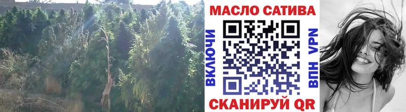 даркнет наркотические препараты  Динская  ТГК концентрат 